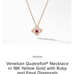 David Yurman Necklace